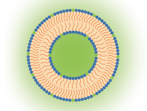 pronanosome-gf